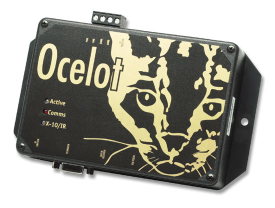 Ocelot front.jpg